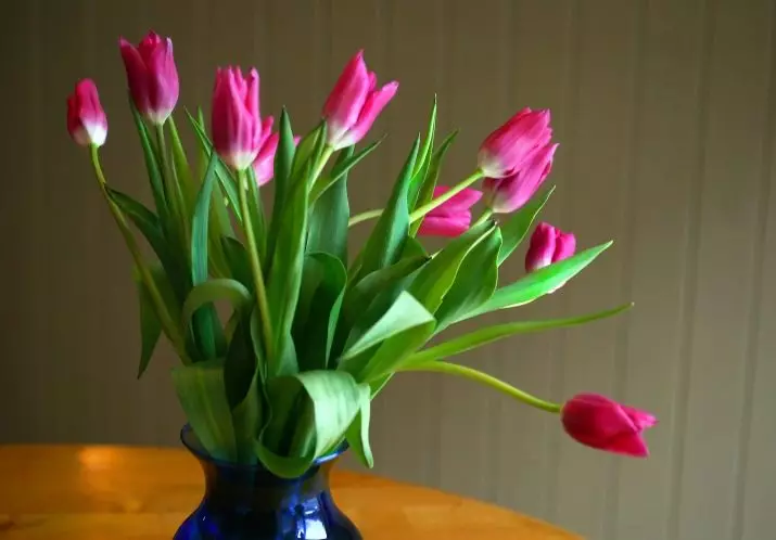 Làm thế nào để tiết kiệm hoa tulip cho đến ngày 8 tháng 3? Làm thế nào để lưu trữ cắt hoa tulip? 18192_11