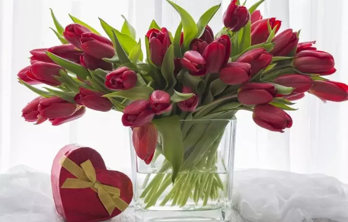 Kako zadržati tulipani do 8. marta? Kako čuvati kupio rez tulipani? 18192_12