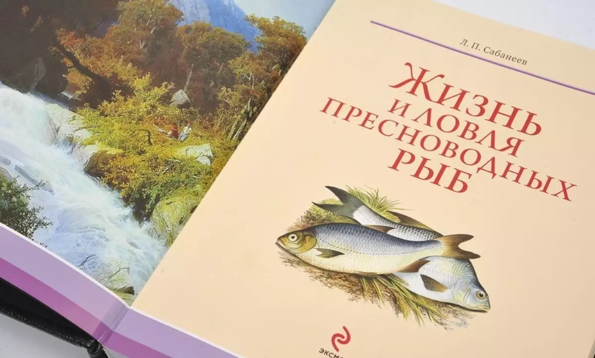 Какво да се даде на момичетата до родителите новогодишните? Изборът за подарък на мама и татко Girlfriend новогодишно 18398_12