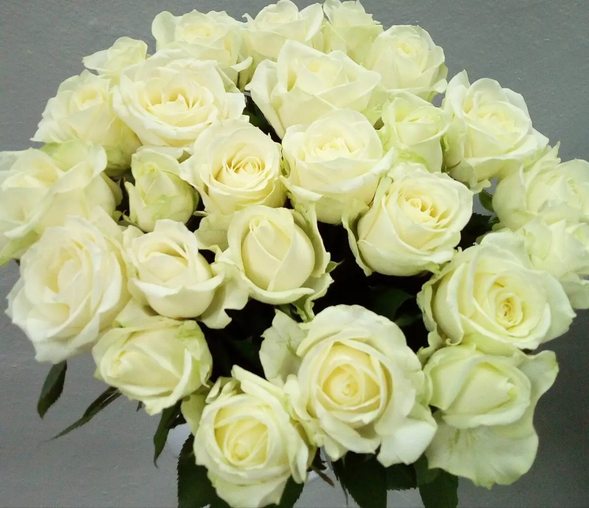 Τι λουλούδια να δώσουν ένα κορίτσι; 34 Φωτογραφία Πόσα τριαντάφυλλα μπορείτε να δώσετε; Τι είναι το καλύτερο - εσωτερικό λουλούδι σε ένα δοχείο ή ένα όμορφο μπουκέτο; 18667_10