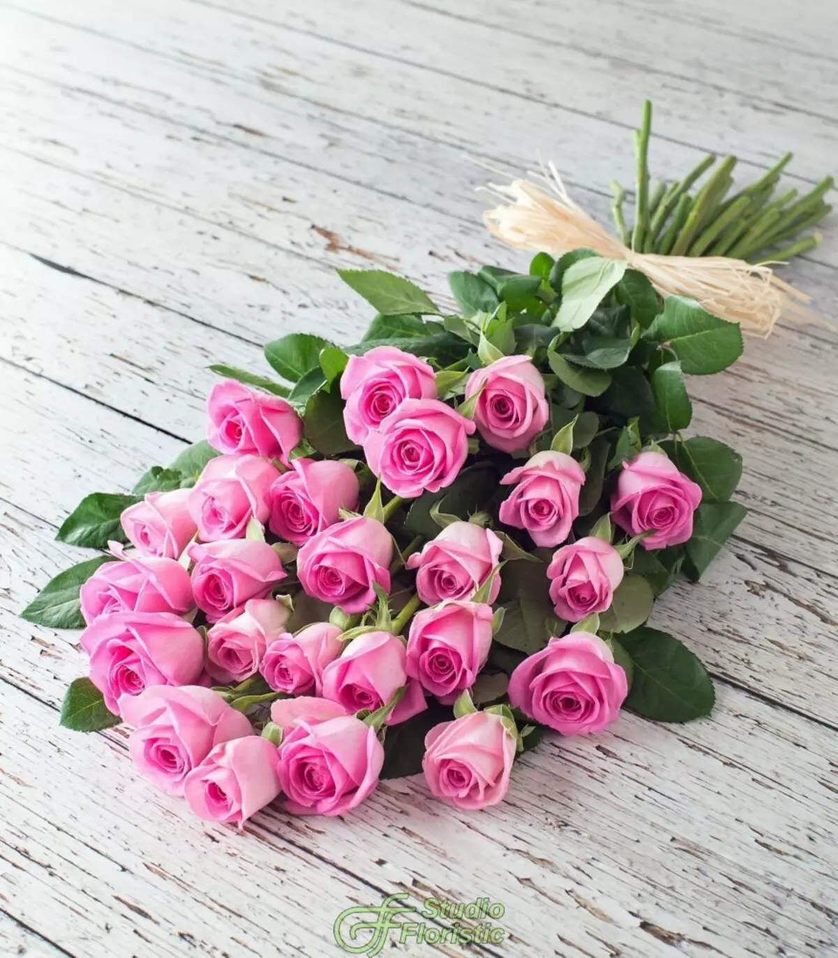 Quelles fleurs donner une fille? 34 Photo Combien de roses pouvez-vous donner? Quelle est la meilleure fleur d'intérieur dans un pot ou un bel bouquet? 18667_11