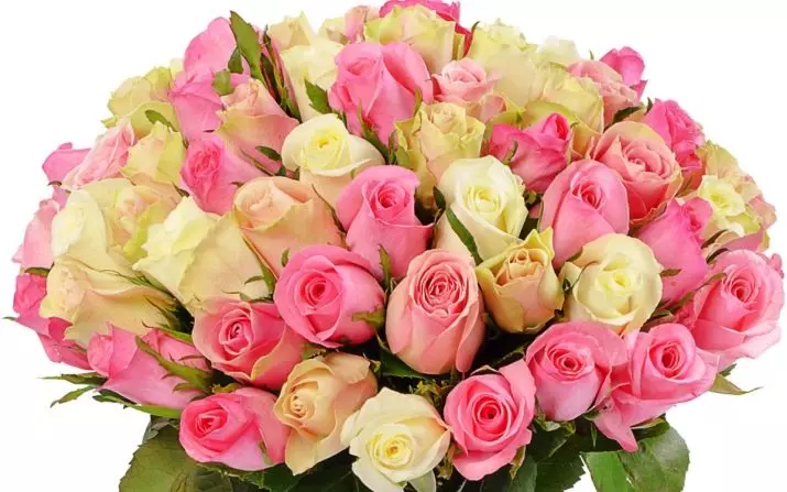 Quelles fleurs donner une fille? 34 Photo Combien de roses pouvez-vous donner? Quelle est la meilleure fleur d'intérieur dans un pot ou un bel bouquet? 18667_26