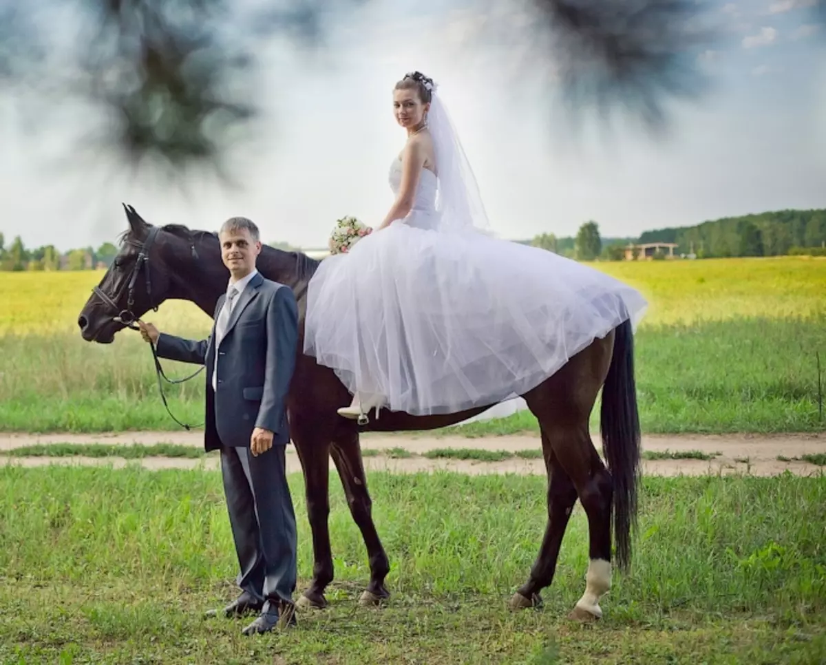 結婚式の写真の撮影のためのアイデア（85写真）：夏、冬、秋の結婚式、森の中の馬と11月または10月 18855_53