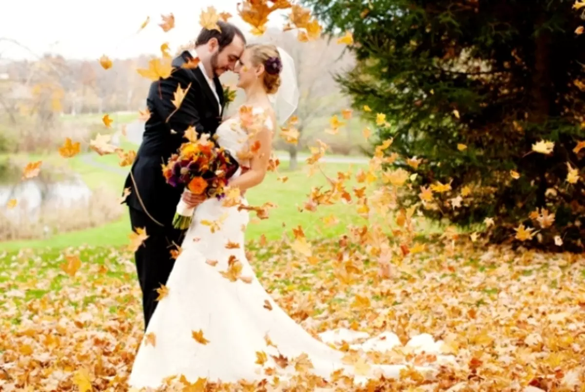결혼식 사진 촬영을위한 아이디어 (85 장의 사진) : 여름, 겨울, 가을 결혼식, 11 월 또는 10 월 숲의 말과 함께 18855_62