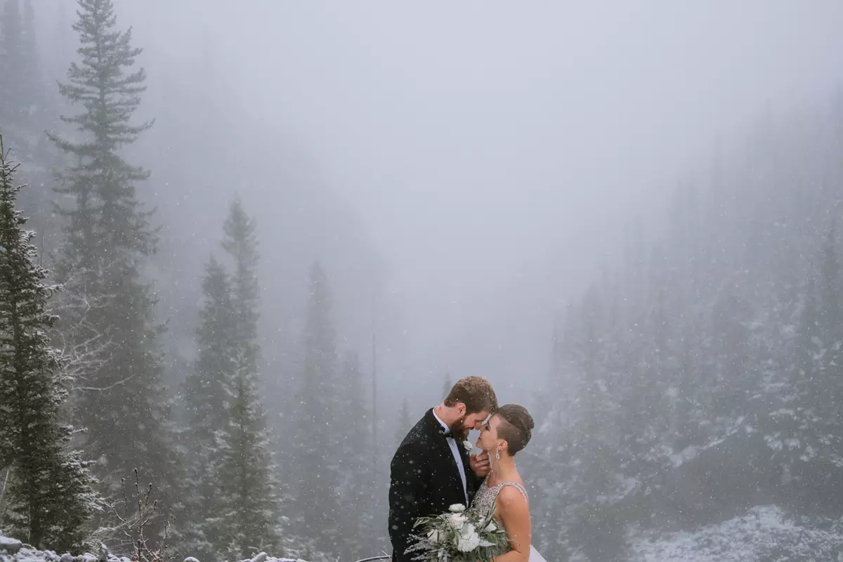 결혼식 사진 촬영을위한 아이디어 (85 장의 사진) : 여름, 겨울, 가을 결혼식, 11 월 또는 10 월 숲의 말과 함께 18855_75