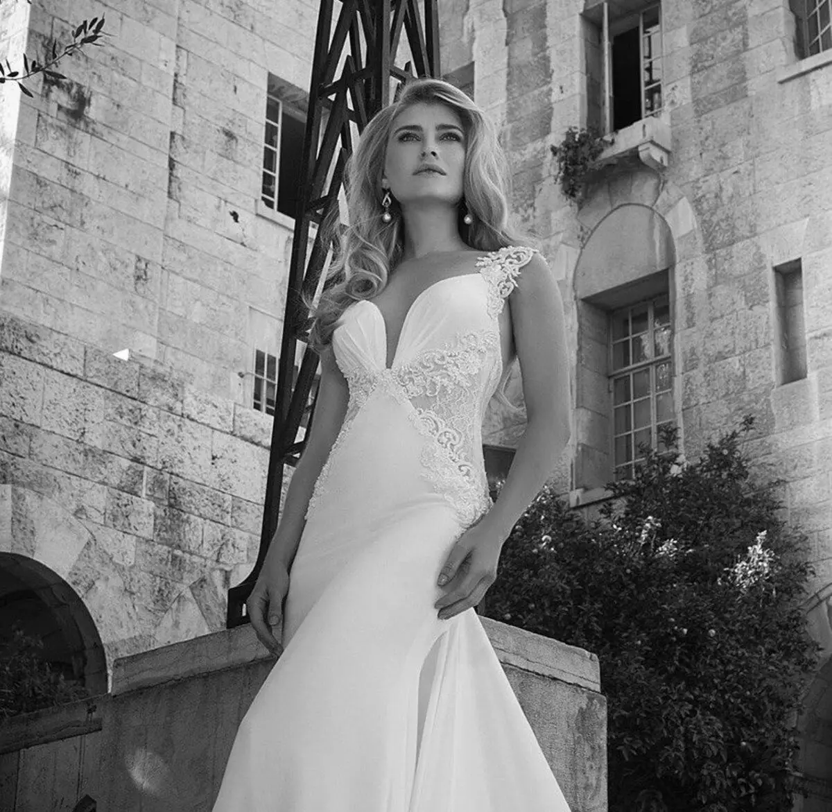 ओपनवर्क आवेषण के साथ शादी की पोशाक डेविड हस्बानी