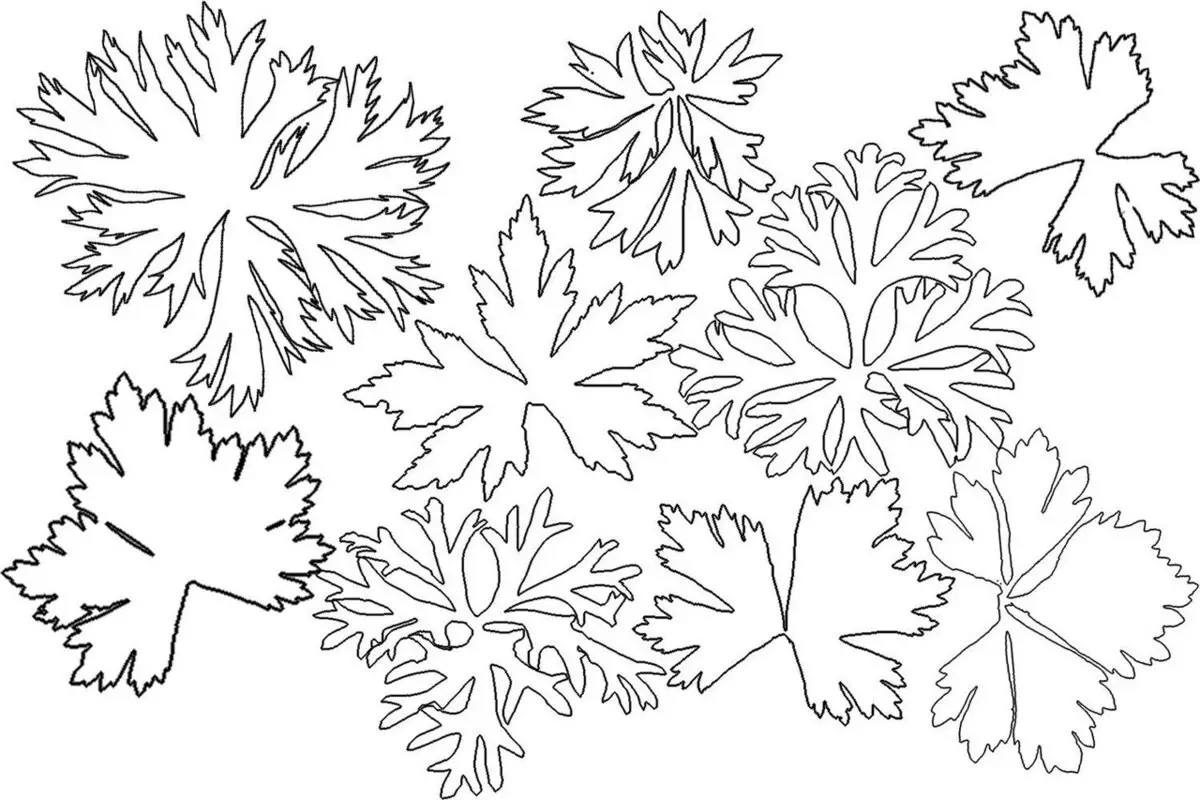 Цвеће из Исолон (33 пхотос): мајсторске курсеве за почетнике за производњу раста и малих цветова са сопственим рукама 19160_17