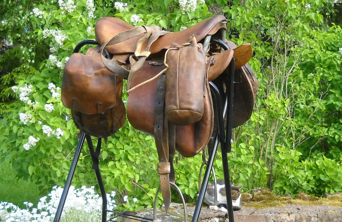 Saddle fyrir hest (29 myndir): Hvernig á að renna hestunum með eigin höndum? Uppbygging kvenkyns og íþrótta, veiði og alhliða hnakkur. Hvað gerir þau að gera og hvernig á að velja viðeigandi? 19164_11