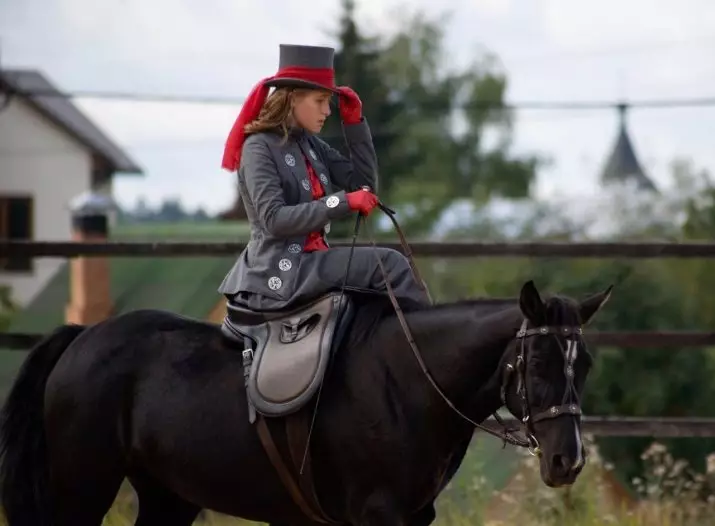 Saddle for Horse (29 fotos): Com lliscar els cavalls amb les teves pròpies mans? L'estructura de les dones i esports, caça i cadires universals. Què els fa fer i com triar un adequat? 19164_19
