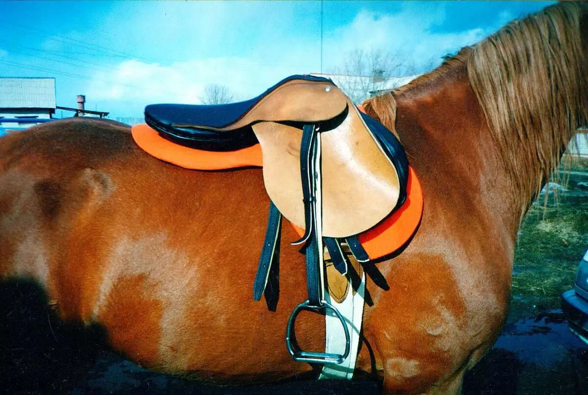 Yên ngựa cho ngựa (29 ảnh): Làm thế nào để trượt ngựa bằng tay của chính bạn? Cấu trúc của nữ và thể thao, săn bắn và yên ngựa phổ quát. Điều gì làm cho họ làm và làm thế nào để chọn một phù hợp? 19164_25