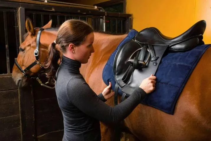 Saddle for Horse (29 foto): Bagaimana cara menggeser kuda dengan tangan Anda sendiri? Struktur wanita dan olahraga, berburu dan sadel universal. Apa yang membuat mereka lakukan dan bagaimana memilih yang cocok? 19164_28
