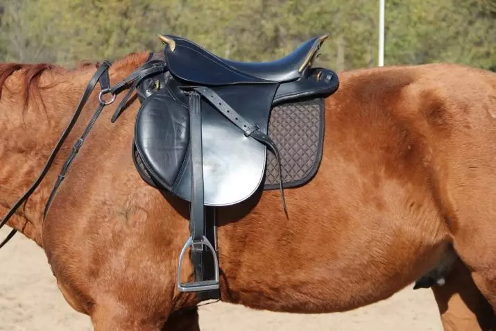 Saddle for Horse (29 fotos): Com lliscar els cavalls amb les teves pròpies mans? L'estructura de les dones i esports, caça i cadires universals. Què els fa fer i com triar un adequat? 19164_3