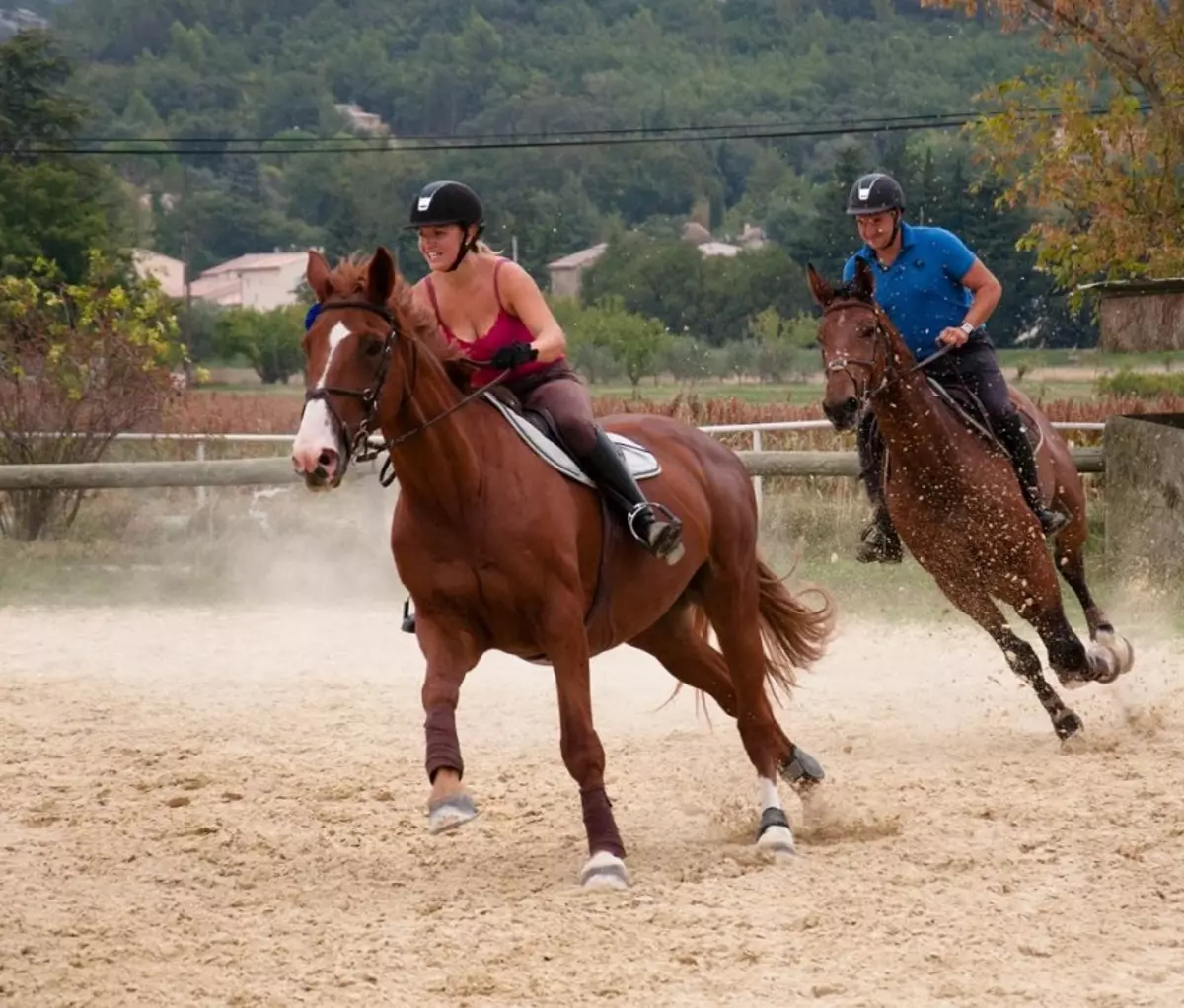 Draaiende paarden: wat voor soort hardloop wordt beschouwd als de snelste? Hoe runnen de paarden Draot en Allyr? De snelste en meest ongemakkelijke manier om een ​​paard te besturen 19169_24