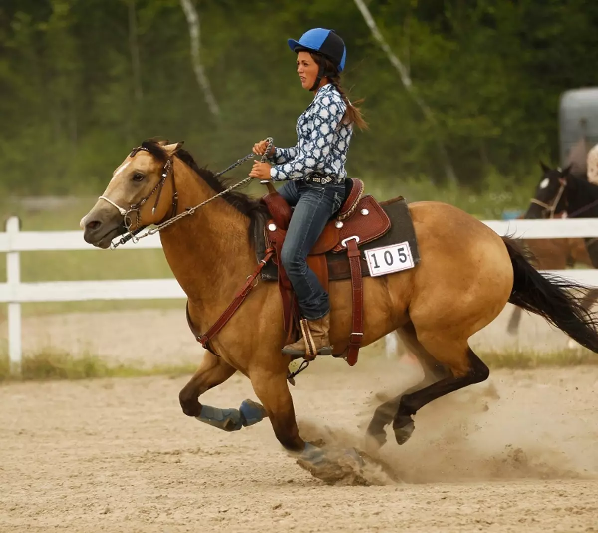 Cavalls corrents: Quin tipus de funcionament és considerat el més ràpid? Com estan els cavalls corren trot i allyr? La forma més ràpida i més incòmode de conduir un cavall 19169_4