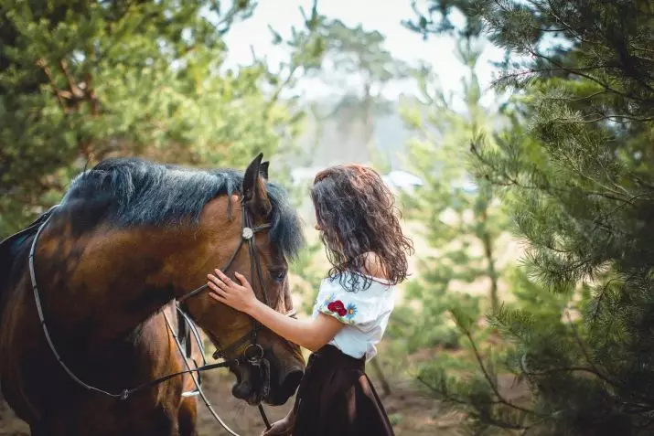 Jízda na koni (39 fotek): školení jízda na koni, prospěch a poškození koní pro děti. Jak jezdit na saních Uvolněné koně? 19171_15