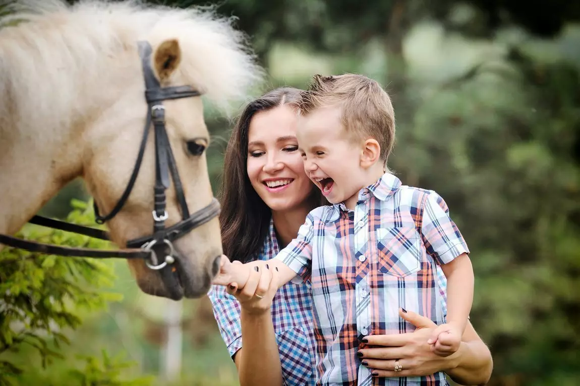 Riding a cavall (39 fotos): Formació a cavall, beneficis i danys a cavall per a nens. Com muntar un trineu de cavall? 19171_16
