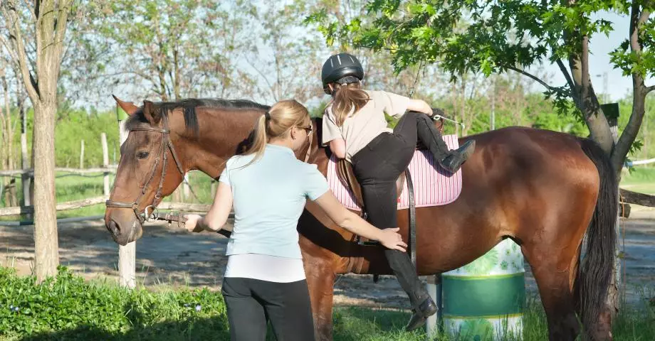 Riding a cavall (39 fotos): Formació a cavall, beneficis i danys a cavall per a nens. Com muntar un trineu de cavall? 19171_25