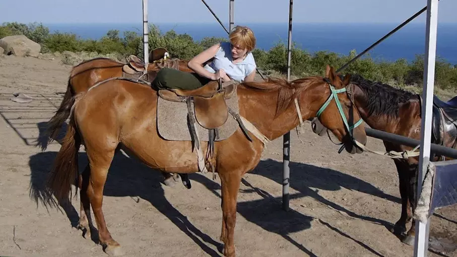 Paardrijden (39 foto's): Training Paardrijden, Voordeel en Harden Horseback voor kinderen. Hoe te rijden met een zware paarden? 19171_26