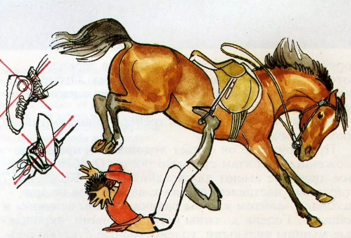 Jahanje (39 fotografija): trening jahanje, korist i štete za djecu. Kako voziti sanjkanje konje? 19171_32
