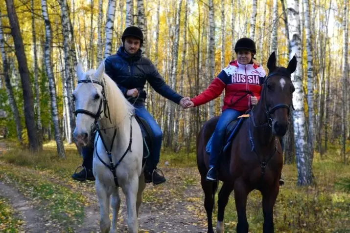 Riding a cavall (39 fotos): Formació a cavall, beneficis i danys a cavall per a nens. Com muntar un trineu de cavall? 19171_34