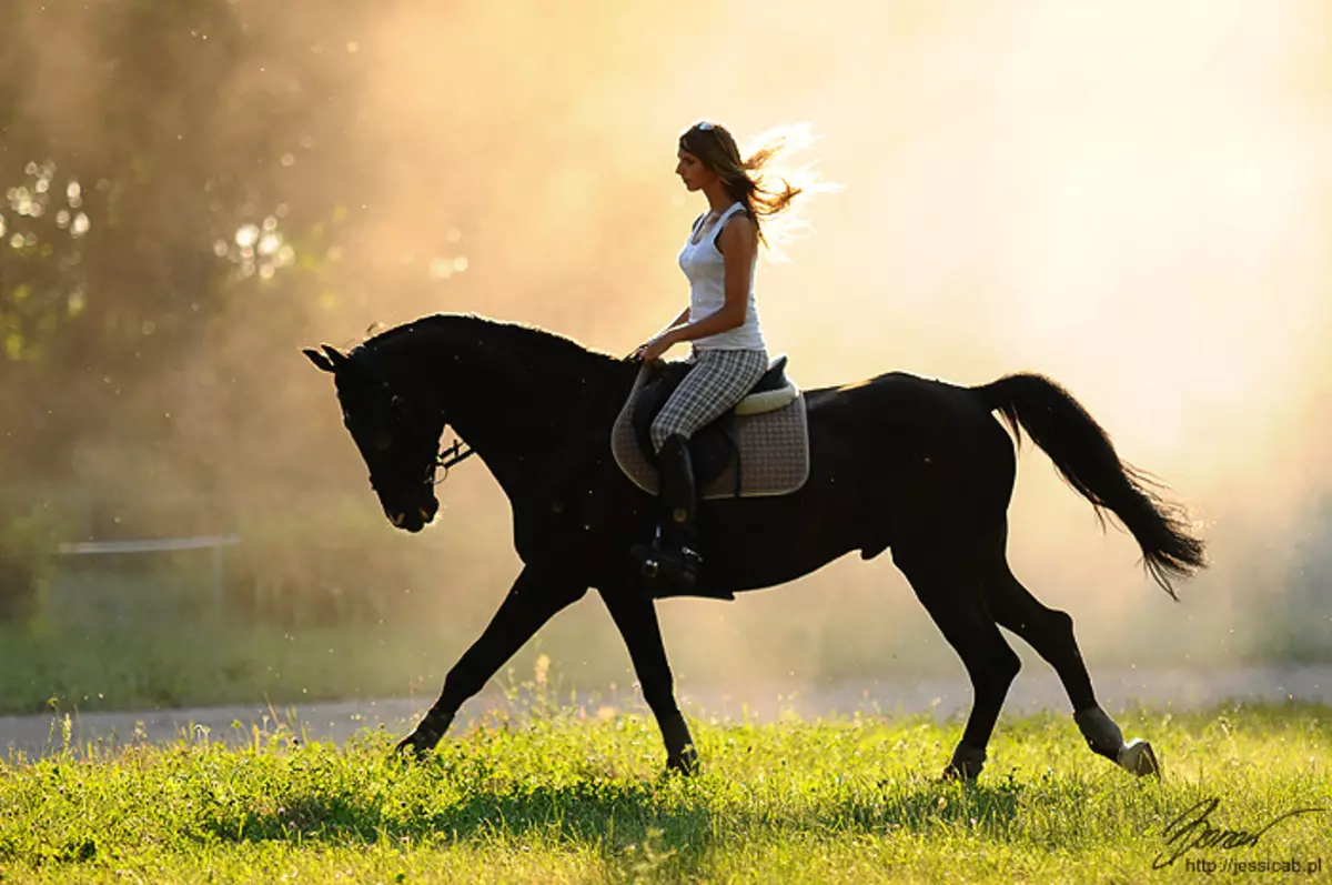Jízda na koni (39 fotek): školení jízda na koni, prospěch a poškození koní pro děti. Jak jezdit na saních Uvolněné koně? 19171_37