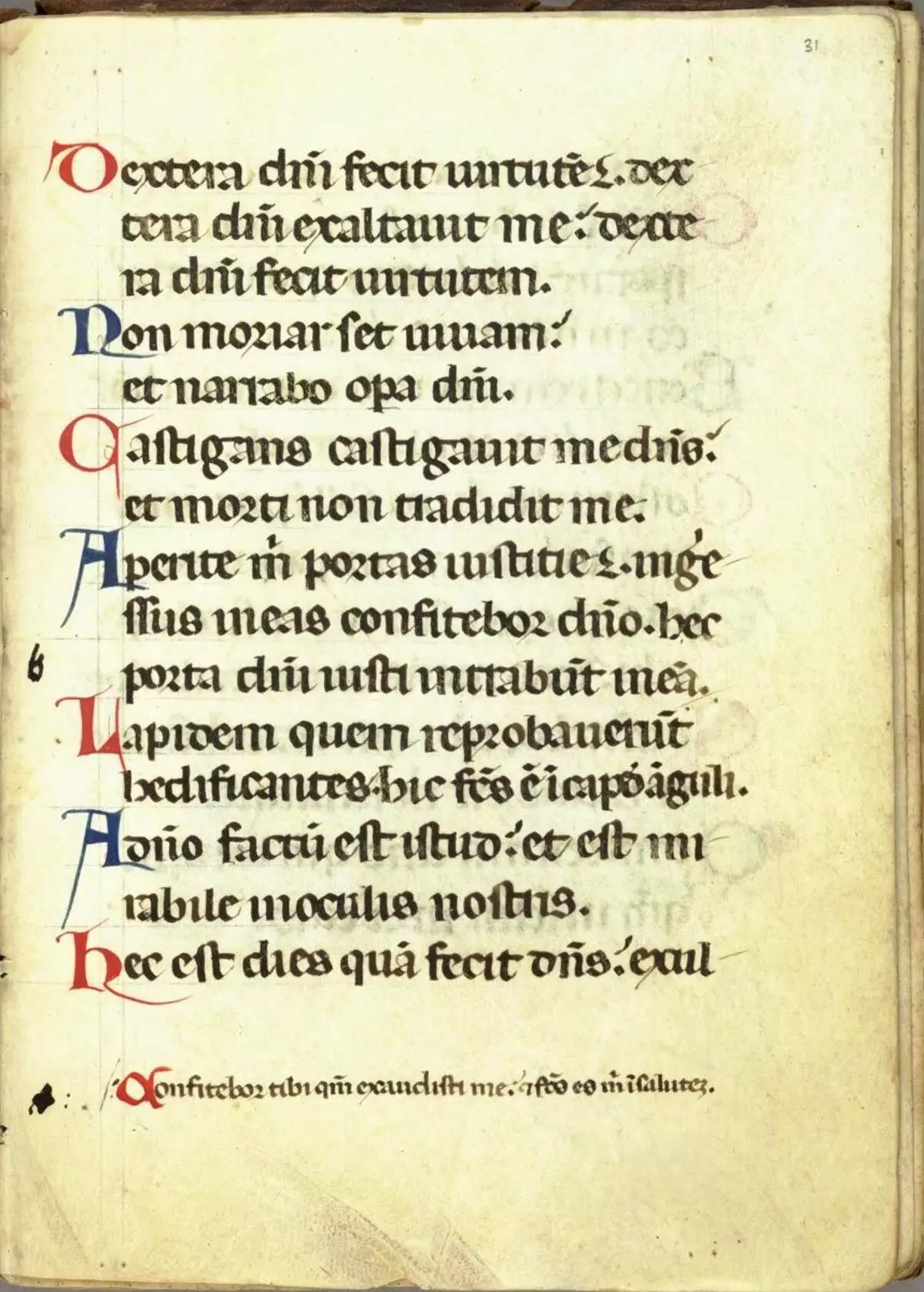Caligrafia gótica: características da fonte caligráfica no estilo gótico, história 19178_9