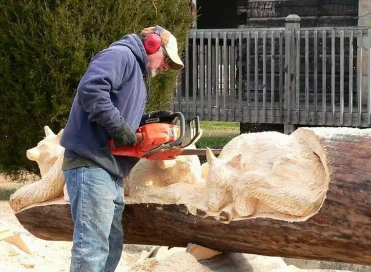 Kettingzaag houtsnijwerk: houten sculpturen voor beginners. Hoe de pilage van de beer en andere grote sculpturen, een eekhoorn en paddestoel te laten knippen? 19208_3