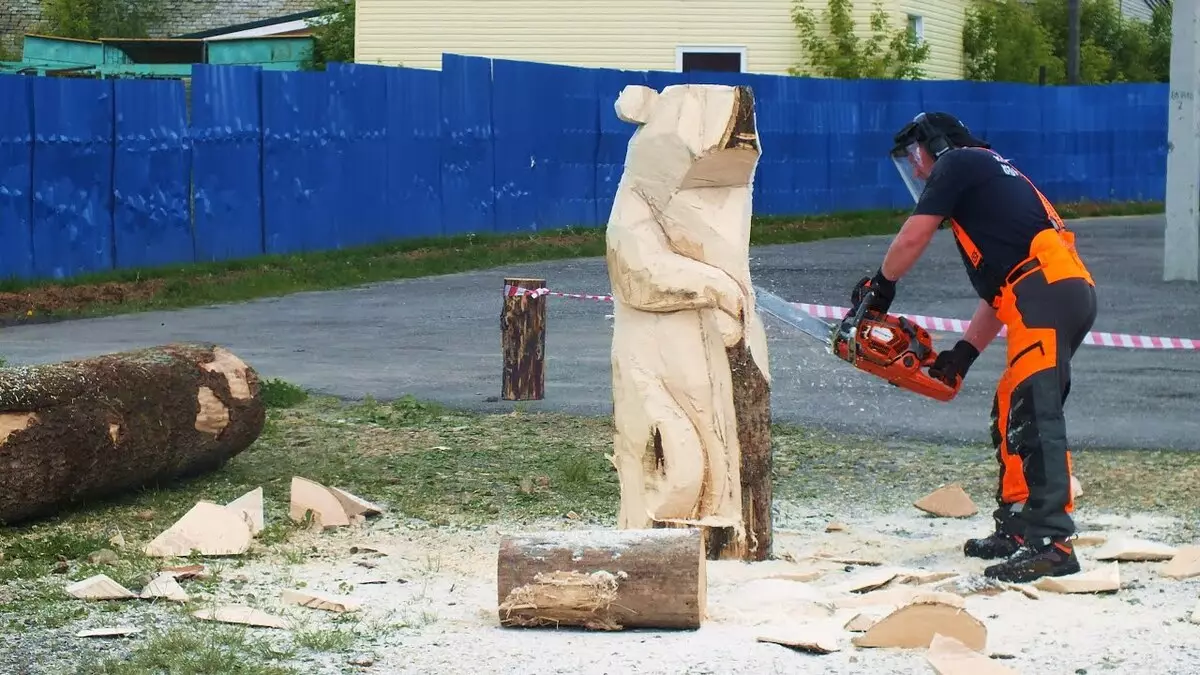 Kettingzaag houtsnijwerk: houten sculpturen voor beginners. Hoe de pilage van de beer en andere grote sculpturen, een eekhoorn en paddestoel te laten knippen? 19208_4