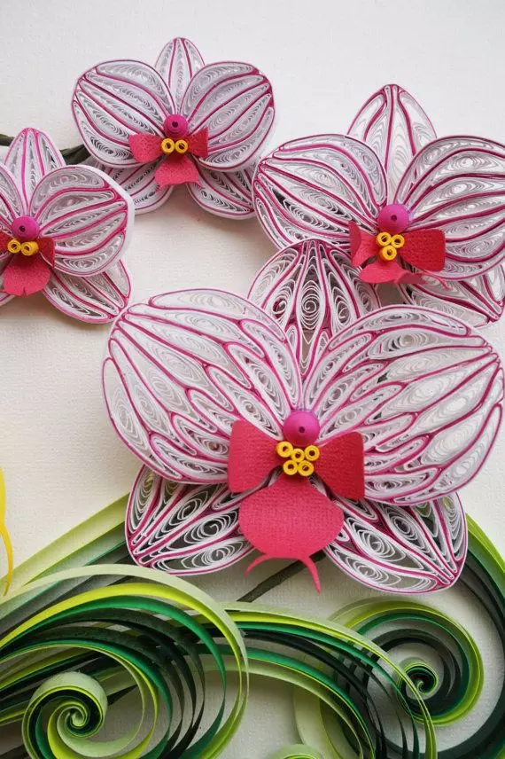 Volumetric Quilling: কাগজ থেকে বল কিভাবে করতে? স্কিমস, quilling, অন্যান্য অস্বাভাবিক কাজ কৌশল মধ্যে orchids এবং পরিসংখ্যান উত্পাদন জন্য মাস্টার ক্লাস 19226_31