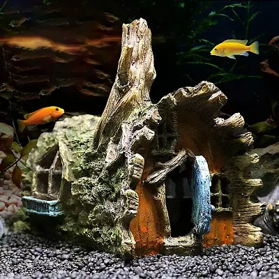 Cineálacha éisc aquarium: an 15 iasc is fearr le cur síos ar aquarium, famos agus Banphrionsa Burundi, Seville agus Pseudtrofius Zebra, trédhearcach agus cineálacha eile éisc álainn tí álainn 192_6
