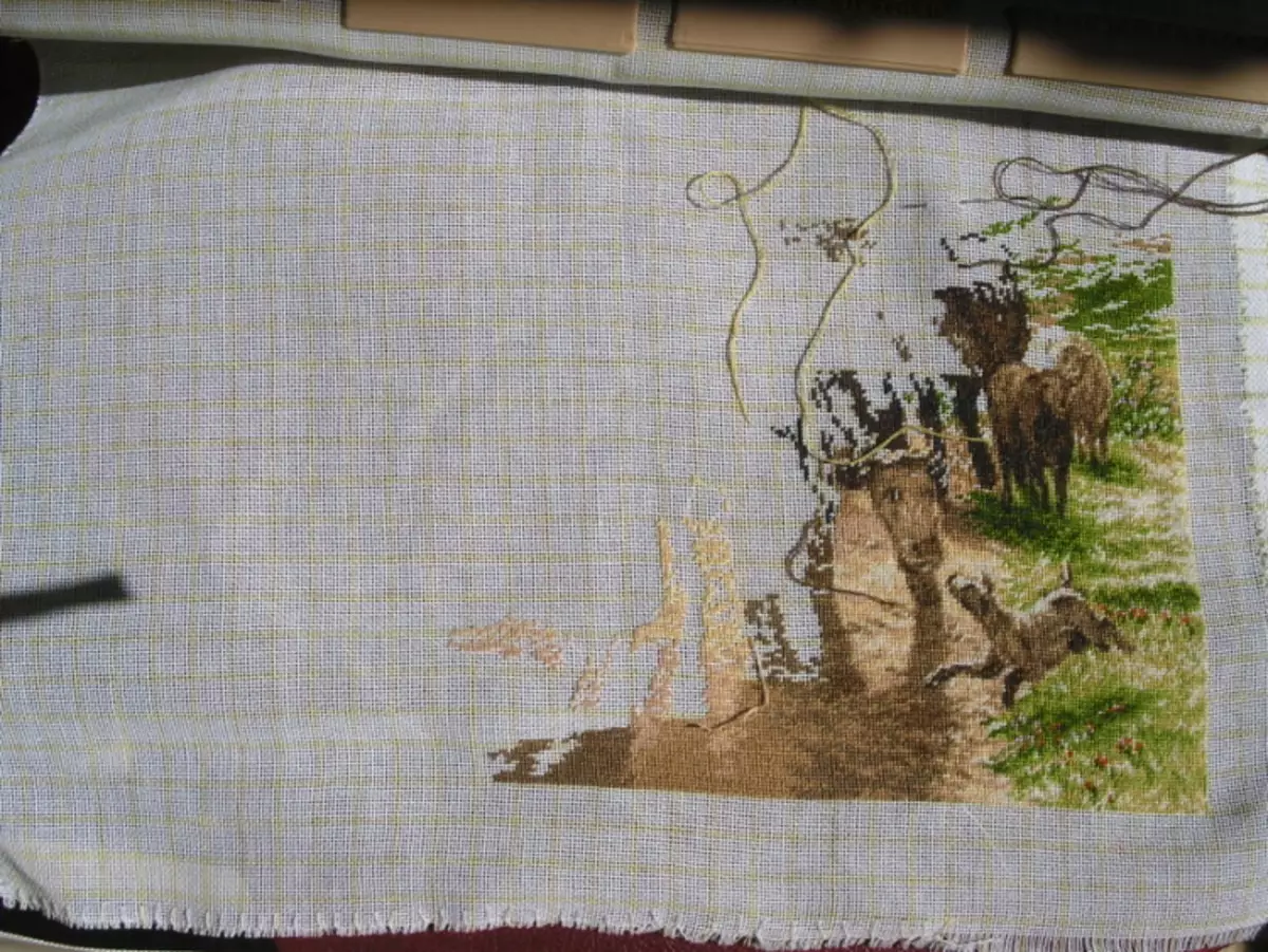 Canva for Embroidery Tapestries: Apa itu? Bagaimana untuk memilih kain untuk sulaman sulaman dan licin? Apa grid untuk menyulam? 19329_2