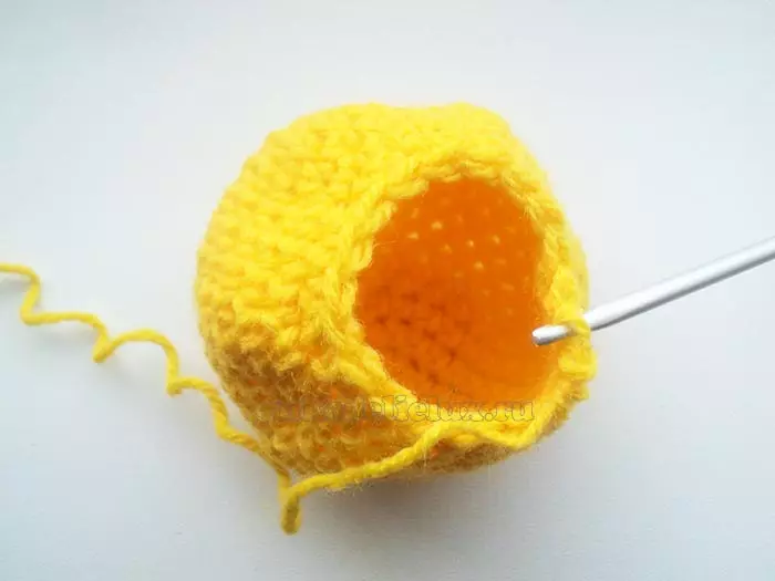 Amigurumi kanggo pamula (80 poto): Crochet Crochet Crochet Crochet Crochet. Déskripsi proyék rinci, kelas master 19332_55