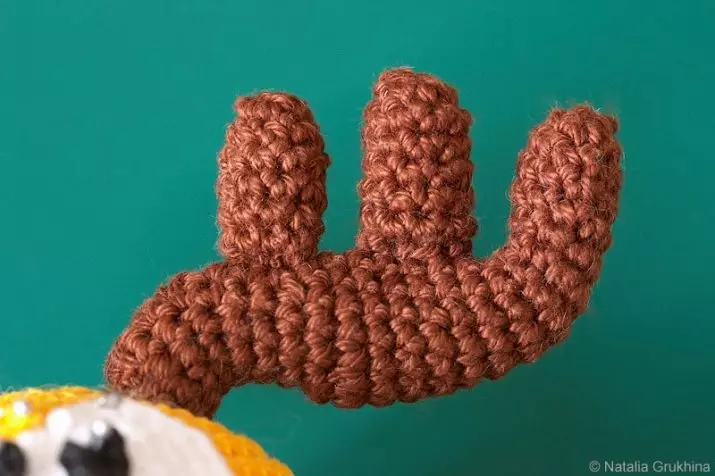 AMIGUMUMI alang sa mga nagsugod (80 Mga Litrato): Si Crochet Crochet crochet crochet. Ang detalyado nga mga paghulagway sa trabaho, mga klase sa agalon 19332_71