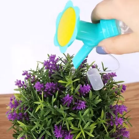 چگونه برای مراقبت از گل در جعبه با اسفنج؟ چگونه اغلب گل های آبی رنگ در یک فوم گل در یک سبد؟ قوانین مراقبت از گل 19406_20