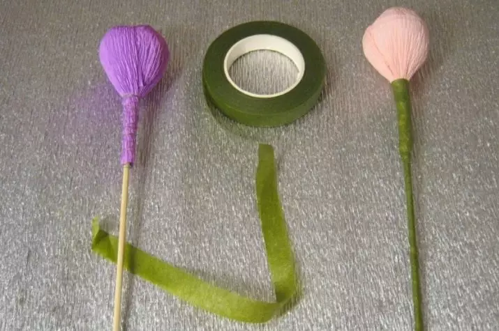 植物胶带：卷尺概述植物。它是什么和你需要的东西？如何使用丝带并制作一个美丽的弓？ 19408_16