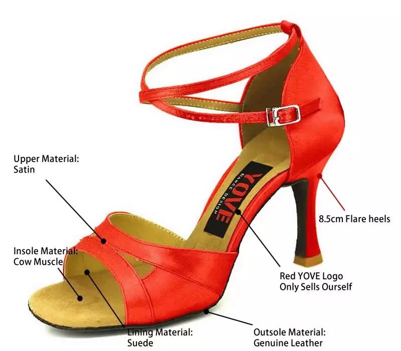 Bachel Shoes: Shoes de mujeres Descripción general para tacones y otro para bailar 19471_13