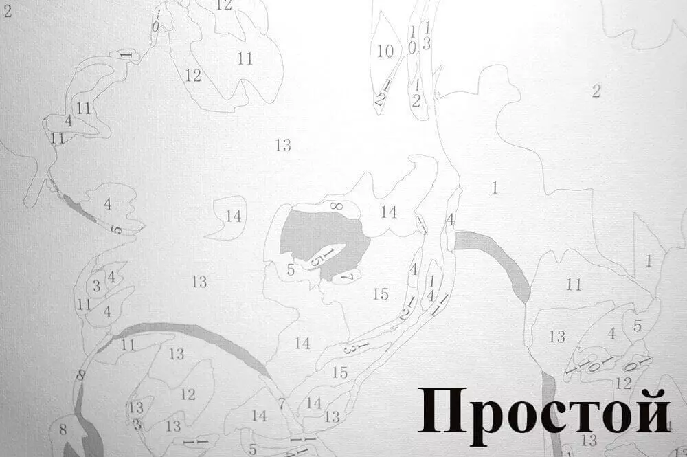 «Триптих» нөмірлеріне сәйкес суреттер: «Балериндер»: «Балериндер» кенептеріндегі 40x50, гүлдер мен лаванда өрісі, Сакура және орхидеялармен, басқа үш суреттері бар модульдік суреттер 19516_25