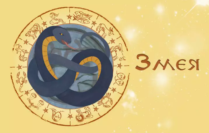 ARIES-SNAKE: Kjennetegn på et horoskop av en mann og en kvinne født i år, hvordan å oppføre seg med ham, kompatibel med andre tegn 19617_3