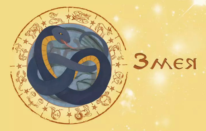 Aries-Snake: Đặc điểm của Tử vi của một người đàn ông và một người phụ nữ sinh năm nay, cách cư xử với anh ta, tương thích với các dấu hiệu khác 19617_3