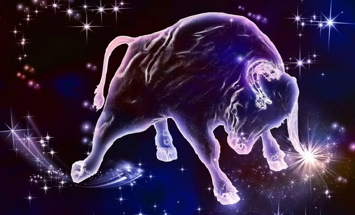 Nyani wa Taurus wa Taurus: Makhalidwe ndi Horoscope adabadwa chaka cha nyani, kugwirizana ndi chikondi 19653_15
