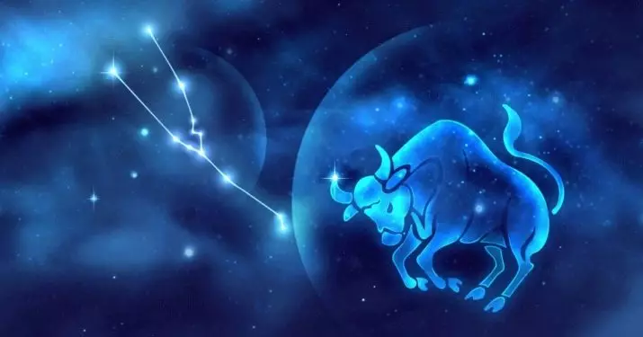 Galu wamwamuna wa Taurus: Makhalidwe ndi Horoscope, mayina achimuna obadwa mu chaka chino 19666_15