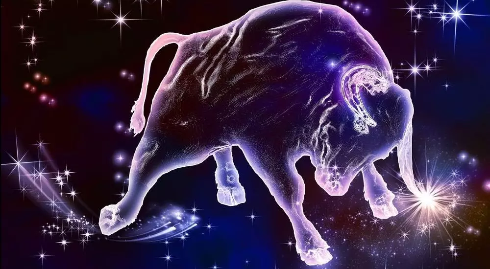 Man Taurus-hund: Karakteristik och horoskop, manliga namn för född i år