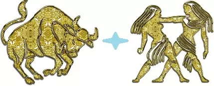 Male Taurus-hûn: Skaaimerken en horoskoop, manlike nammen foar berne yn dit jier 19666_26