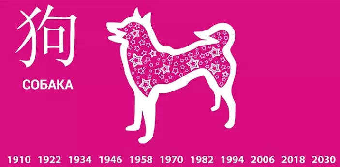 Taurus-Dog masculino: características e horóscopo, nomes masculinos para Nascido neste ano 19666_3