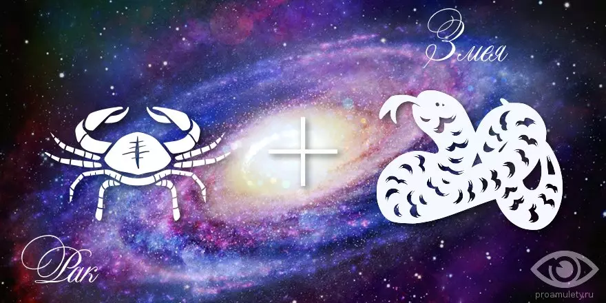 Mâle Taurus-Snake: caractéristiques et horoscope, pourquoi changements, signes d'amour 19668_18