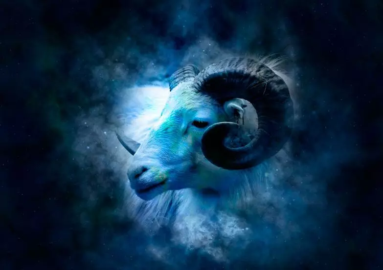 ferch Taurus-ceiliog: nodweddiadol o'r horoscope, cydweddoldeb 19680_13