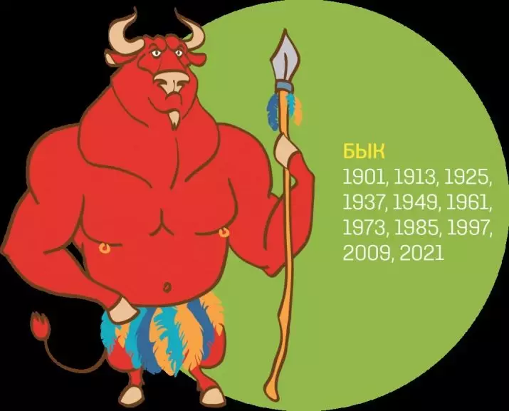 År af tyren (24 billeder): Hvad er disse år? Karakteristika for personer født i 1985 og 1997 på det østlige horoskop. Hvem kommer efter en Fiery Tyr på den kinesiske kalender? 20106_2