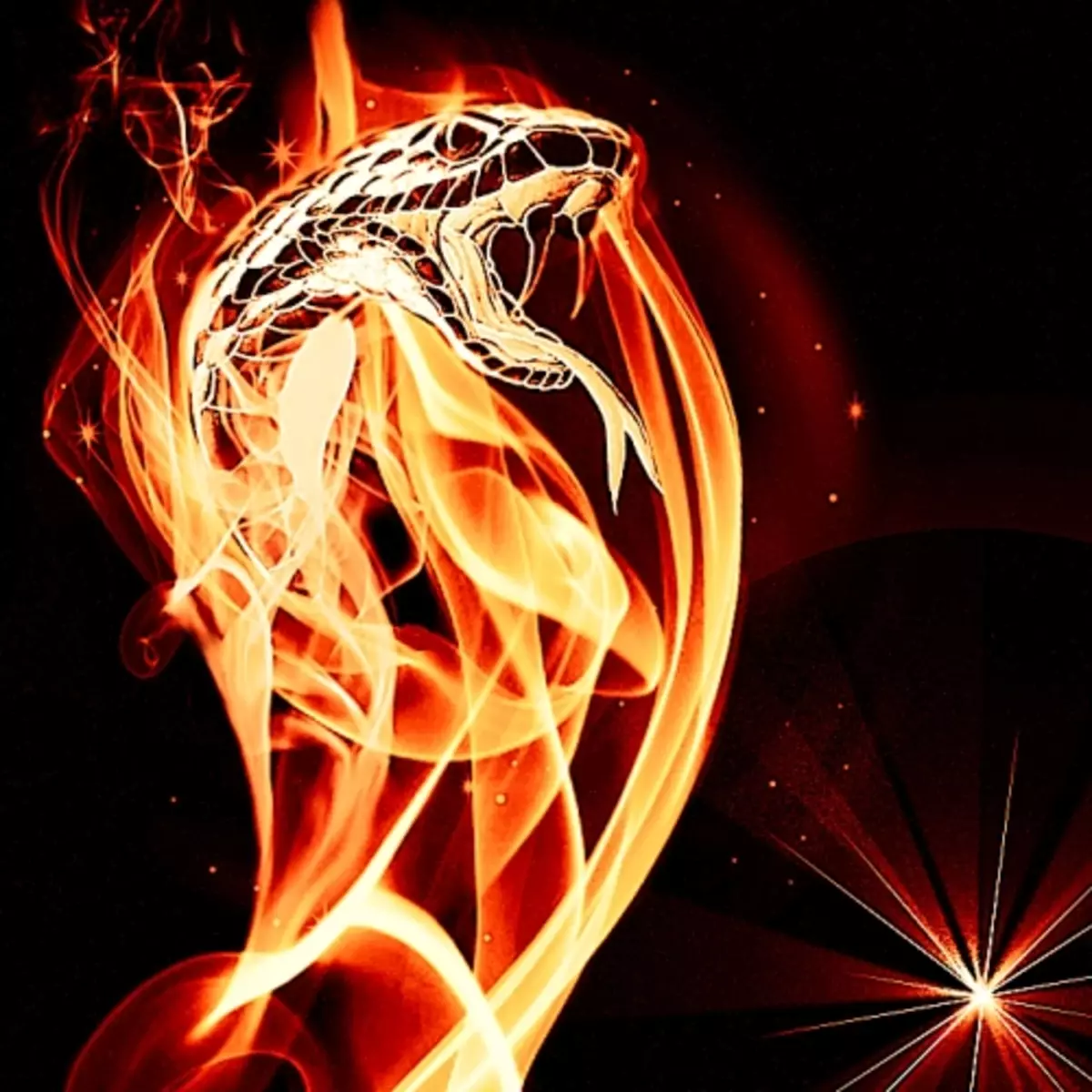 Змея в огне. Огненная змея. Красная Огненная змея. Огнедышащий змей. Огненный дракон.