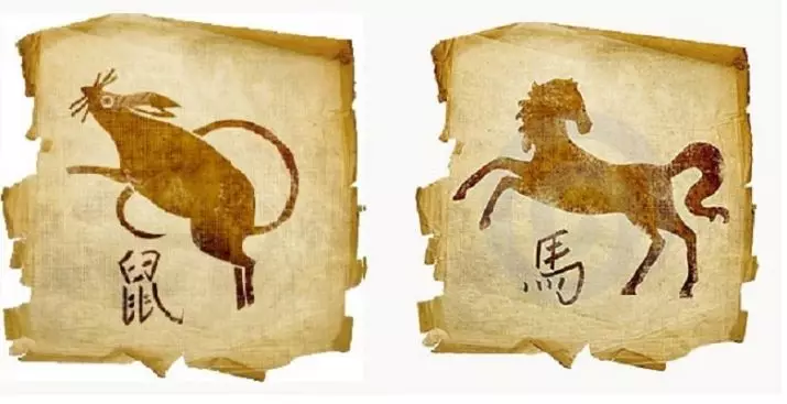 1990 - Watter soort dier? 34 foto eienskappe van 'n man wat in 'n wit perd in die Chinese horoskoop gebore is (oostelike kalender) 20126_23