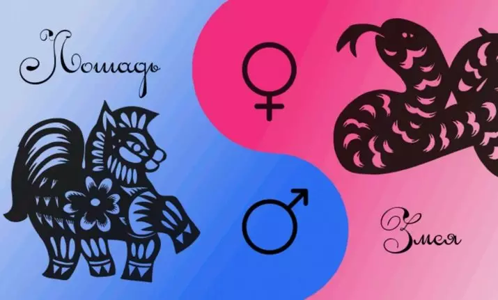 Združljivost kače in konja (11 fotografij): Kakšna je združljivost teh znakov v ljubezni in družinskega življenja po horoskopu? 20165_9